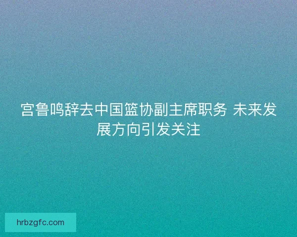 宫鲁鸣辞去中国篮协副主席职务 未来发展方向引发关注