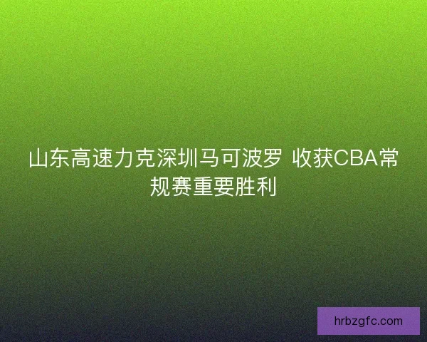 山东高速力克深圳马可波罗 收获CBA常规赛重要胜利